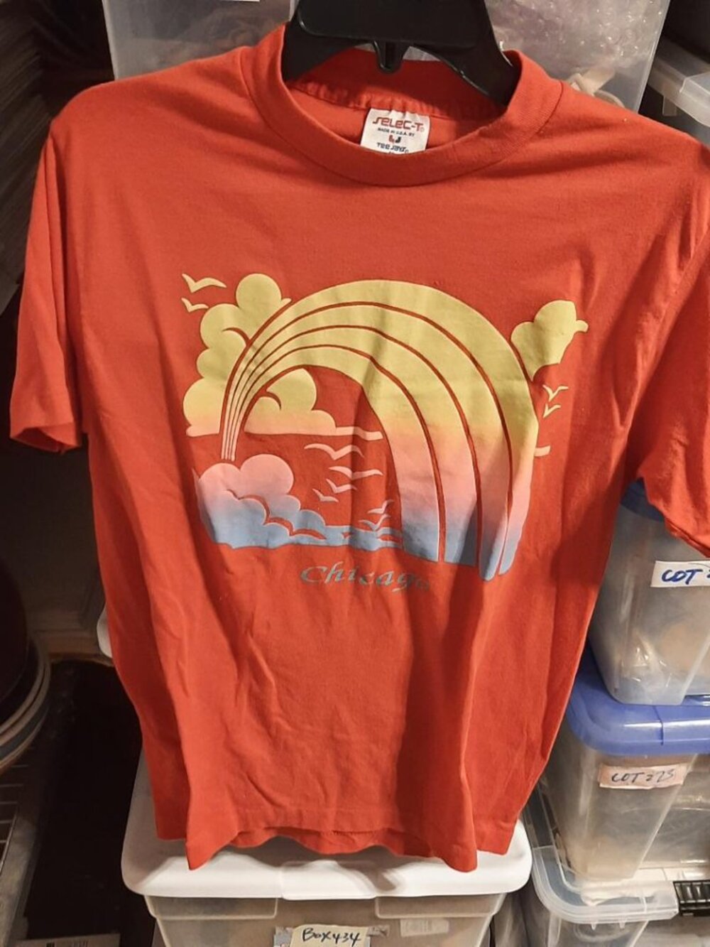 Vintage Chicago Rainbow T Shirt Red Size M